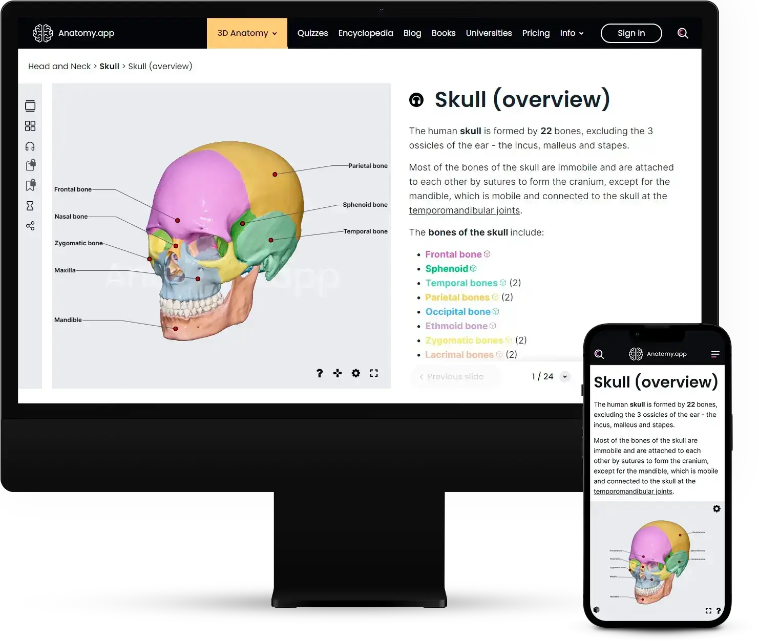 Stay productive and focused